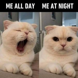 Meet your Posher, Scott